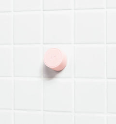Magnetic Storage Hook B5