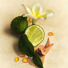 Scent Layering Trio H6